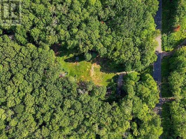 1312 CLEMENT LAKE ROAD Highlands East Ontario, K0L 3C0 - Vacant Land For Sale