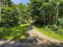 1312 CLEMENT LAKE ROAD | Highlands East Ontario | Slide Image Two