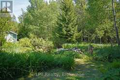 158 STOKES BAY ROAD | Lion's Head Ontario | Slide Image Forty
