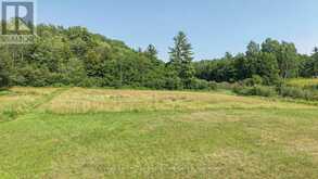 1121 BEIERS ROAD | Gravenhurst Ontario | Slide Image Sixteen