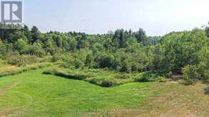 1121 BEIERS ROAD | Gravenhurst Ontario | Slide Image Five
