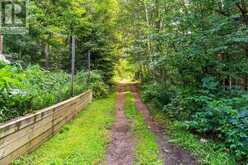 521 OLD MUSKOKA ROAD | Huntsville Ontario | Slide Image Thirty-six