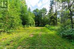 521 OLD MUSKOKA ROAD | Huntsville Ontario | Slide Image Thirty-seven
