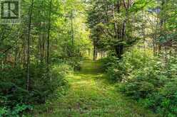 521 OLD MUSKOKA ROAD | Huntsville Ontario | Slide Image Thirty-eight