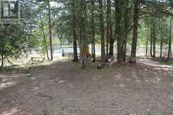 1037 ANDEK TRAIL | Highlands East Ontario | Slide Image Nineteen