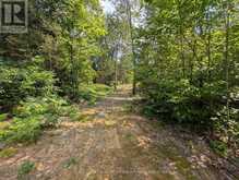 0 FOREST LAKE ROAD | Machar Ontario | Slide Image Ten