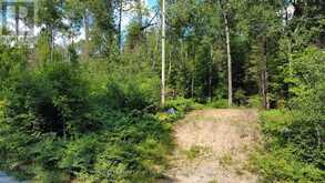 0 FOREST LAKE ROAD | Machar Ontario | Slide Image Six