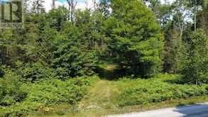 0 FOREST LAKE ROAD | Machar Ontario | Slide Image Seven