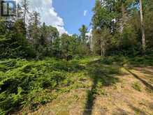 0 FOREST LAKE ROAD | Machar Ontario | Slide Image Nine