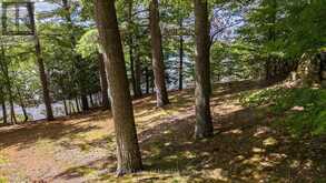 25-1235 SHEA ROAD | Muskoka Lakes Ontario | Slide Image Forty-three
