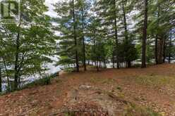 25-1235 SHEA ROAD | Muskoka Lakes Ontario | Slide Image Forty-four