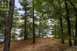 25-1235 SHEA ROAD | Muskoka Lakes Ontario | Slide Image Forty-five