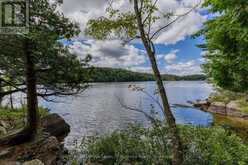 25-1235 SHEA ROAD | Muskoka Lakes Ontario | Slide Image Five