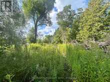 4437 HIGHWAY 7 | Kawartha Lakes Ontario | Slide Image One