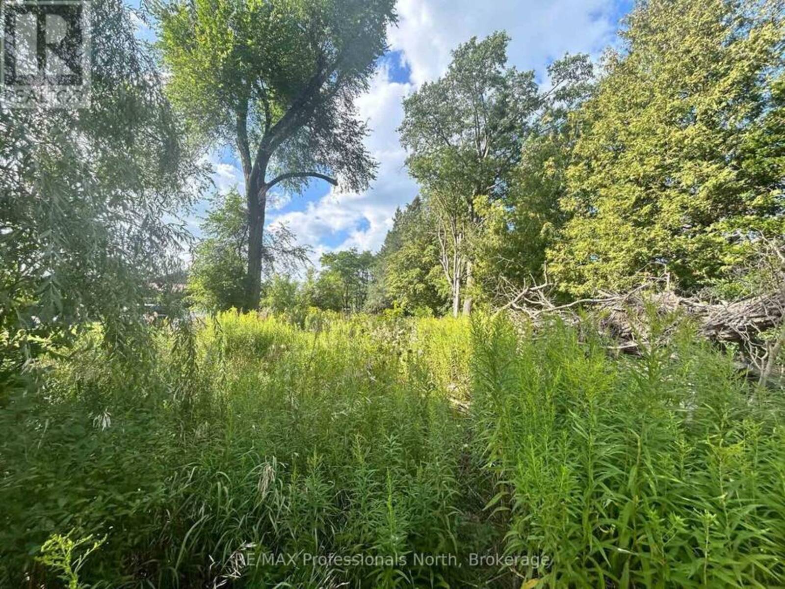 4437 HIGHWAY 7, Kawartha Lakes, Ontario K0L 2W0