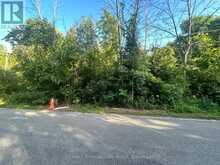 0 TRILLIUM LANE | Hastings Ontario | Slide Image One