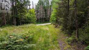 286 HALLS ROAD E | Sundridge Ontario | Slide Image Four