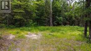 286 HALLS ROAD E | Sundridge Ontario | Slide Image Five