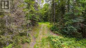 286 HALLS ROAD E | Sundridge Ontario | Slide Image Six