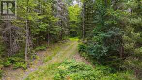 286 HALLS ROAD E | Sundridge Ontario | Slide Image Seven