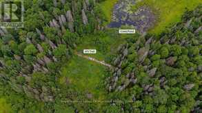 286 HALLS ROAD E | Sundridge Ontario | Slide Image Nine