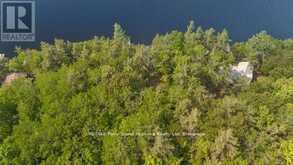 124 HEALEY LAKE WATER | Seguin Ontario | Slide Image Thirty-four
