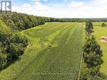 449686 10TH CONCESSION ROAD | Grey Highlands Ontario | Slide Image Two