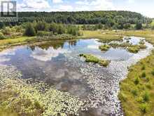 449686 10TH CONCESSION ROAD | Grey Highlands Ontario | Slide Image Thirty-three