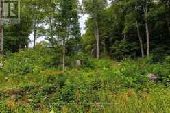 F - 790 GARAGE ROAD | Magnetawan Ontario | Slide Image Seven