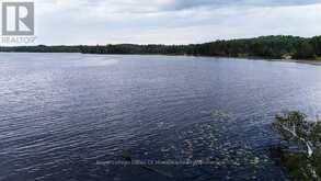 F - 790 GARAGE ROAD | Magnetawan Ontario | Slide Image Thirteen