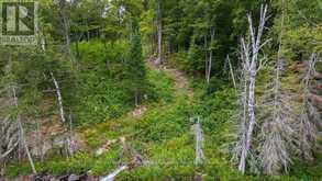 F - 790 GARAGE ROAD | Magnetawan Ontario | Slide Image Fifteen