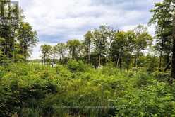 F - 790 GARAGE ROAD | Magnetawan Ontario | Slide Image Eight