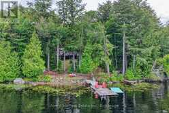 1052 SKIN LAKE DRIVE | Lake of Bays Ontario | Slide Image Two