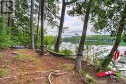 1052 SKIN LAKE DRIVE | Lake of Bays Ontario | Slide Image Forty-two