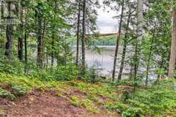 1052 SKIN LAKE DRIVE | Lake of Bays Ontario | Slide Image Forty-three