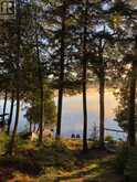 1052 SKIN LAKE DRIVE | Lake of Bays Ontario | Slide Image Six