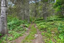 9000 GALEAIRY LAKE | South Algonquin Ontario | Slide Image Twenty