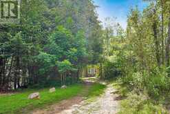 9390 HIGHWAY 35 | Minden Hills Ontario | Slide Image Eight
