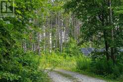 58 SYDENHAM TRAIL W | Duntroon Ontario | Slide Image Forty-nine
