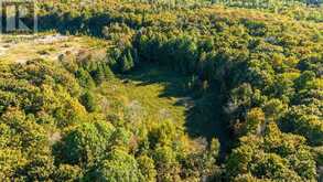 125 NORTH DIAGONAL ROAD | Georgian Bluffs Ontario | Slide Image Fifteen