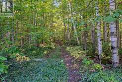 125 NORTH DIAGONAL ROAD | Georgian Bluffs Ontario | Slide Image Seventeen