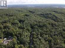 168 PETER STREET E | Waubaushene Ontario | Slide Image Twelve
