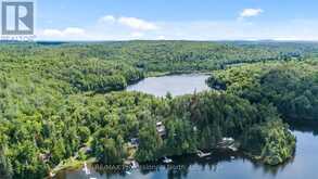 10279 COPE LAKE WAO | Highlands East Ontario | Slide Image Forty-three