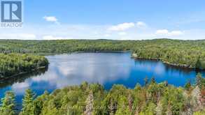 10279 COPE LAKE WAO | Highlands East Ontario | Slide Image Forty-four
