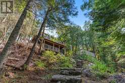 10279 COPE LAKE WAO | Highlands East Ontario | Slide Image Forty-five