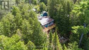 10279 COPE LAKE WAO | Highlands East Ontario | Slide Image Forty-eight