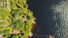 311 LAKE VERNON W/A | Huntsville Ontario | Slide Image Forty-five
