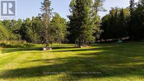 0 #520 HIGHWAY | Magnetawan Ontario | Slide Image Eight