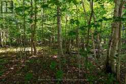 4 MOUNTAIN BASIN DRIVE | McDougall Ontario | Slide Image Thirteen