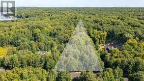 4 MOUNTAIN BASIN DRIVE | McDougall Ontario | Slide Image One